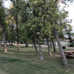 Glenfield City Park Campground