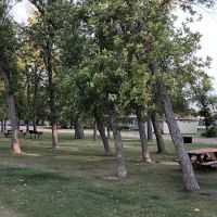 Glenfield City Park Campground ico