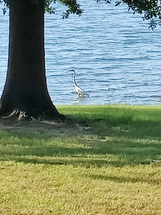 Camp Kiwanis on Pat Mayse Lake Picture 1