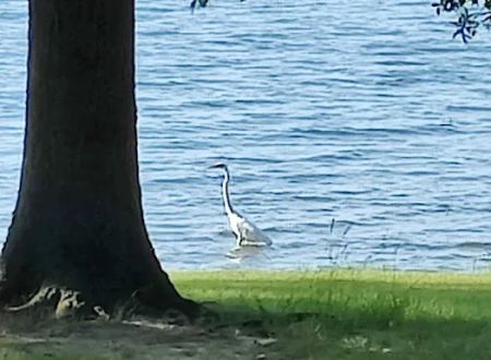 Camp Kiwanis on Pat Mayse Lake