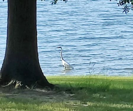 Camp Kiwanis on Pat Mayse Lake