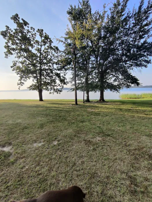 Camp Kiwanis on Pat Mayse Lake Picture 5