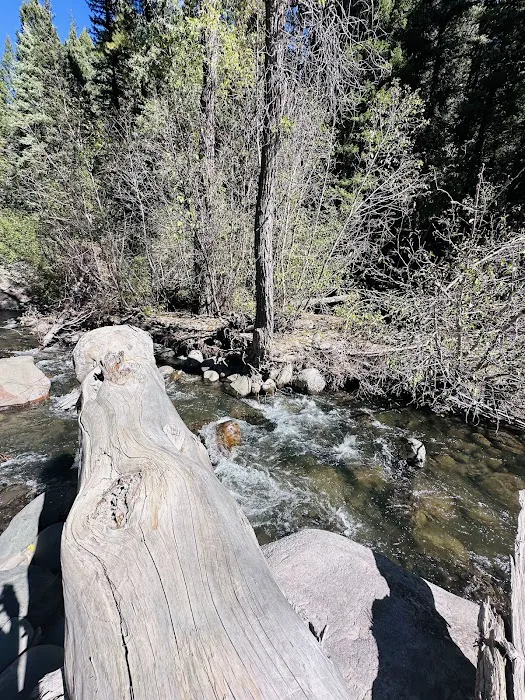 East Fork Campground Picture 10