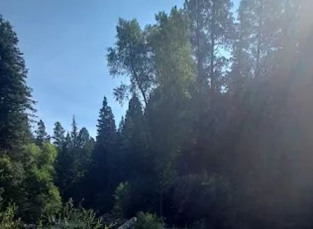 East Fork Campground