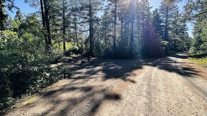 East Fork Campground Picture 4
