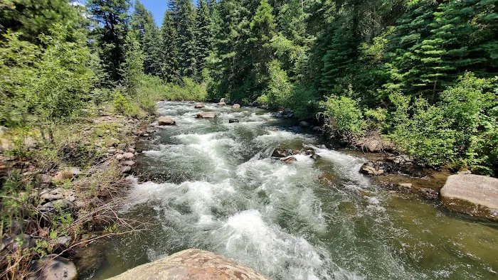 East Fork Campground Picture 8