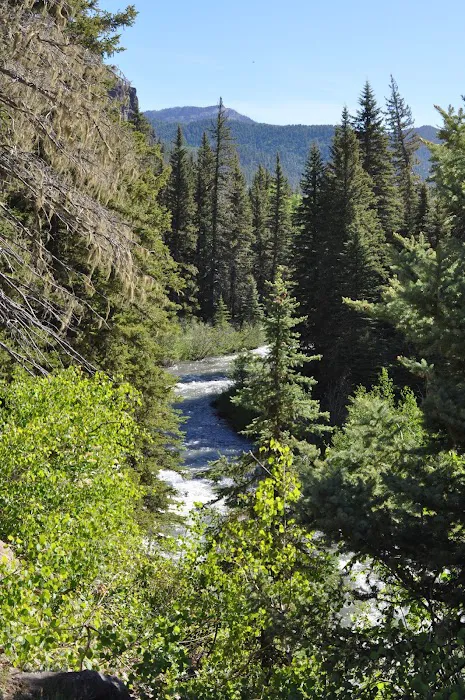 East Fork Campground Picture 5
