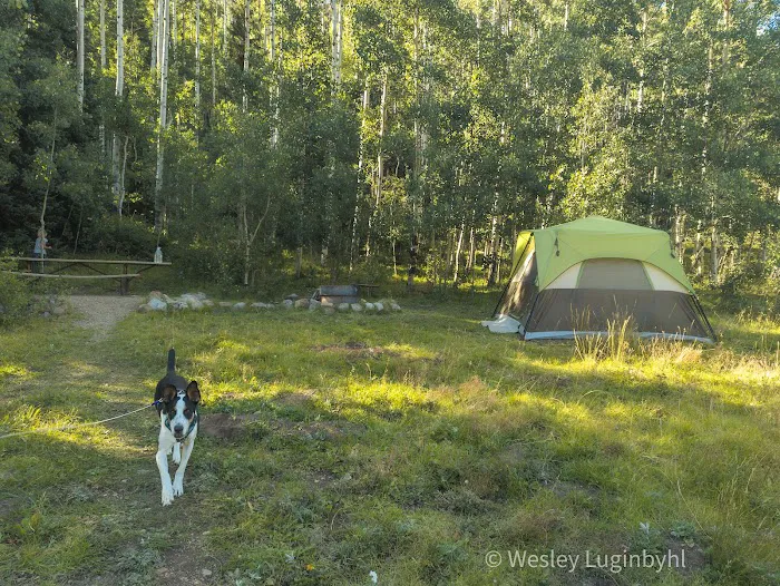 Stunner Campground Picture 6