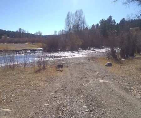 Upper Piedra Campground