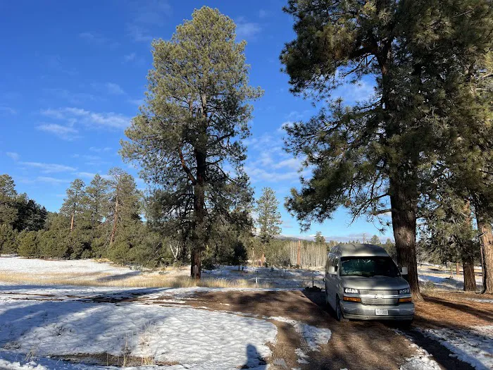 Turkey Springs Dispersed Camping Picture 6