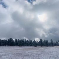 Turkey Springs Dispersed Camping ico