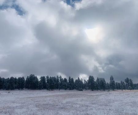 Turkey Springs Dispersed Camping