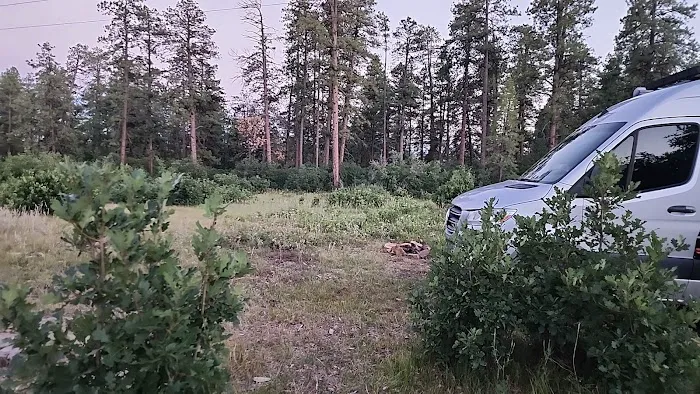 Turkey Springs Dispersed Camping Picture 10