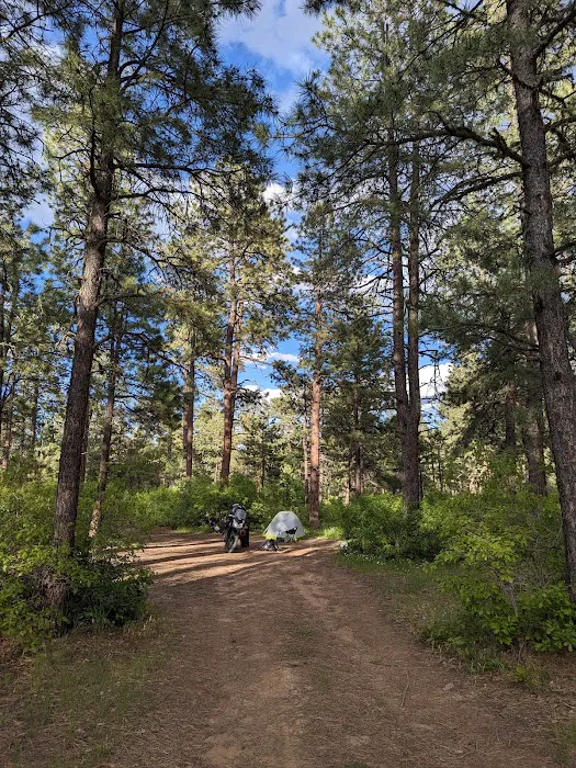 Turkey Springs Dispersed Camping Picture 5