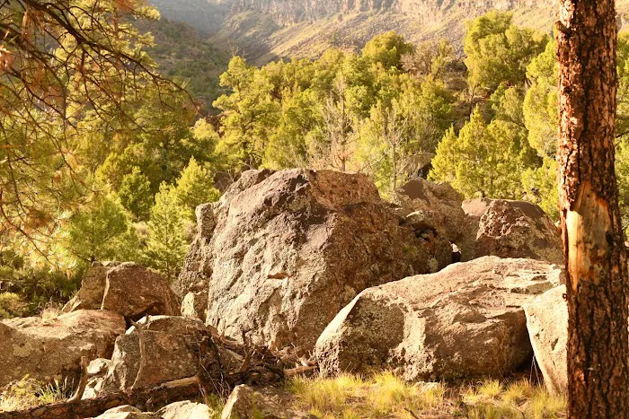 Big Arsenic Springs Campground Picture 2