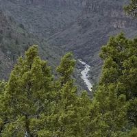 Big Arsenic Springs Campground ico