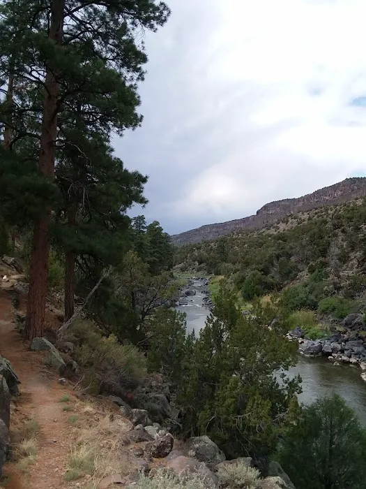 Montoso Campground Picture 3