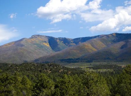 La Junta Campground