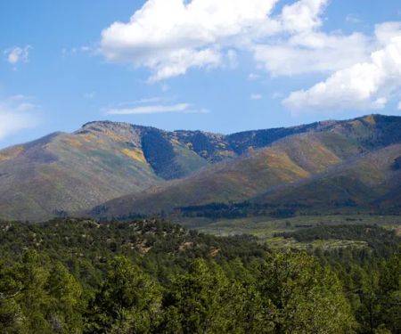 La Junta Campground