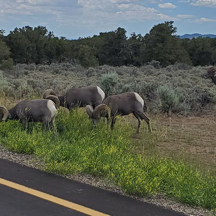 La Junta Campground Picture 10