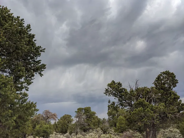 La Junta Campground Picture 3