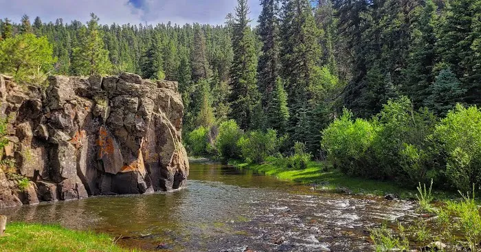 Rio de Los Pinos Campground Picture 4