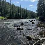 Aspen Glade Campground