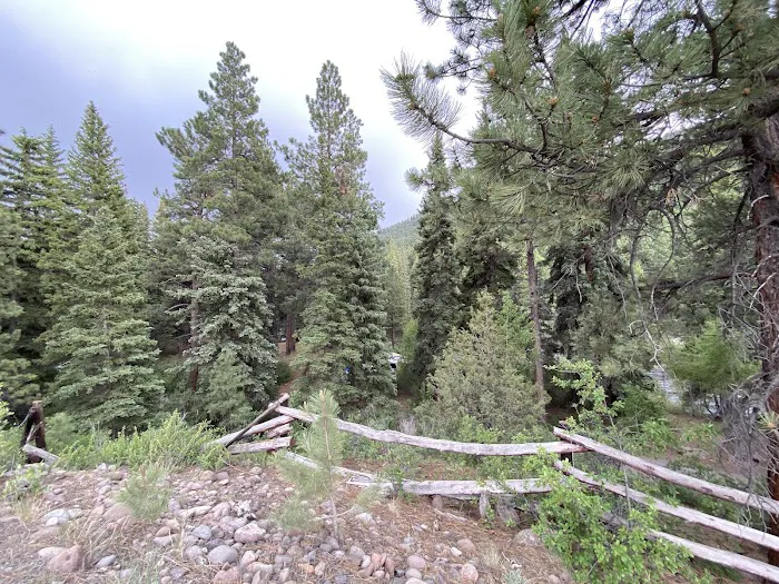 Aspen Glade Campground Picture 7