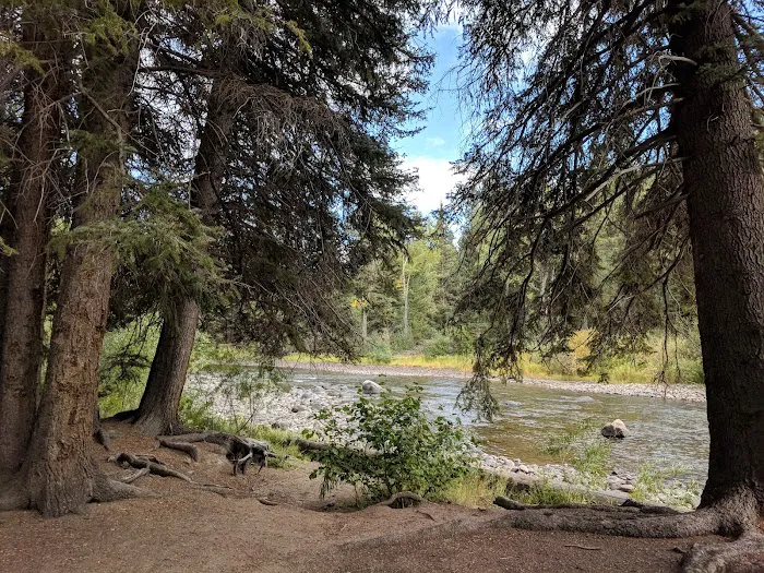 Aspen Glade Campground Picture 5