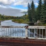 Ponderosa Campground