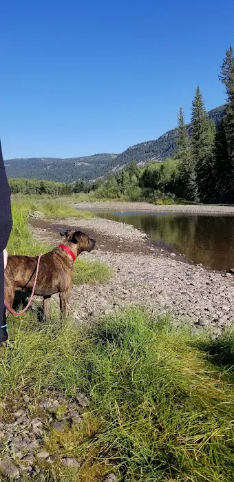 Ponderosa Campground Picture 2