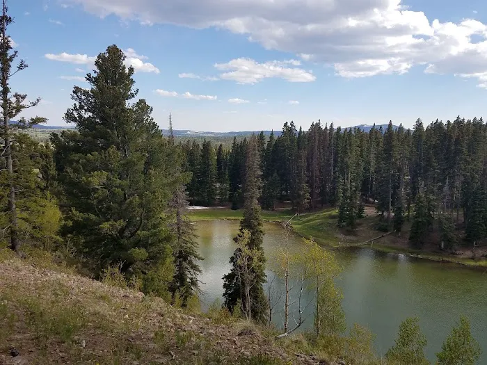 Upper Lagunitas Campground Picture 6