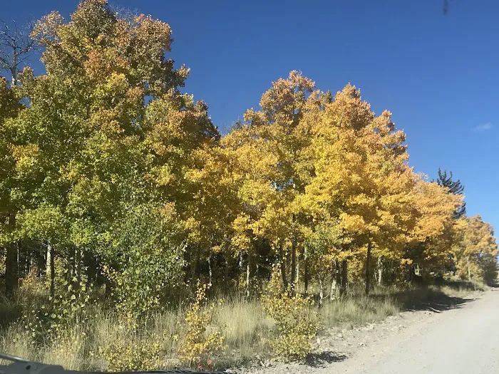 Lower Lagunitas Campground Picture 8