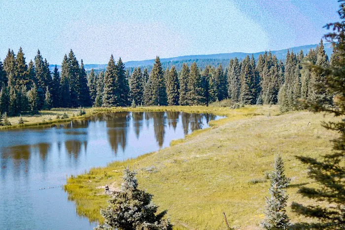 Lower Lagunitas Campground Picture 1