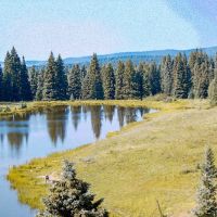 Lower Lagunitas Campground ico