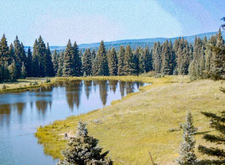 Lower Lagunitas Campground