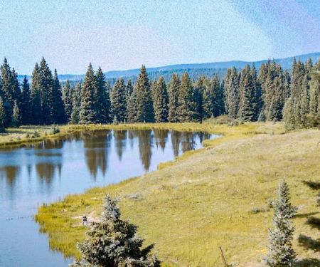 Lower Lagunitas Campground