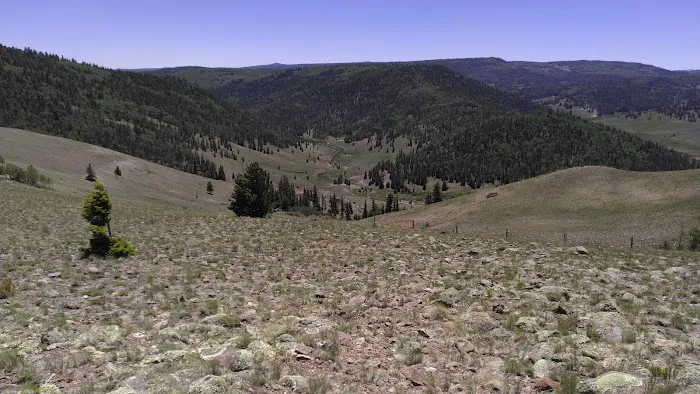 Lower Lagunitas Campground Picture 5