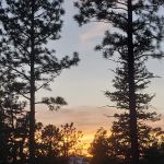 Horse Canyon Camp