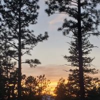 Horse Canyon Camp ico