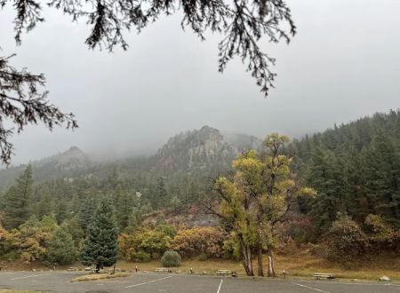 Ponderosa Campground