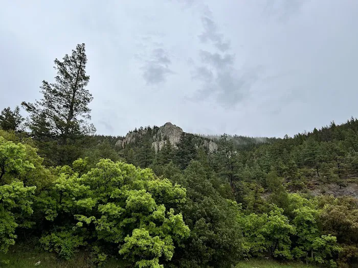 Ponderosa Campground Picture 6
