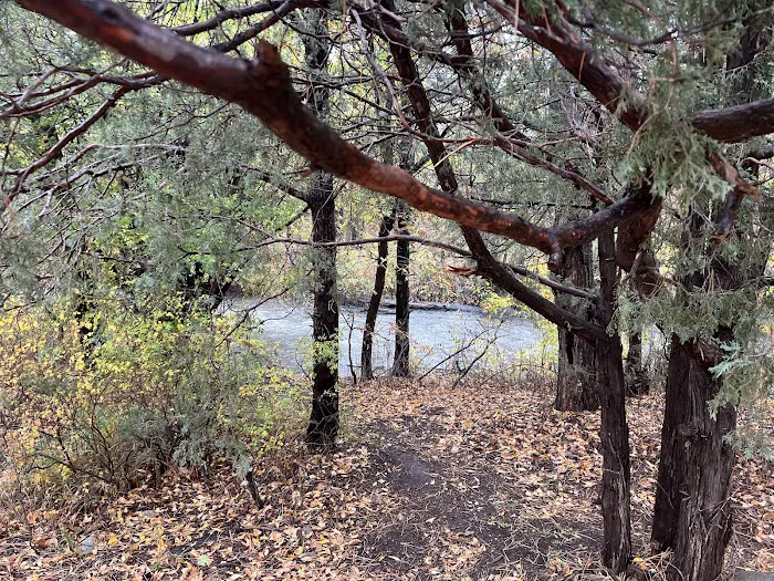 Ponderosa Campground Picture 3