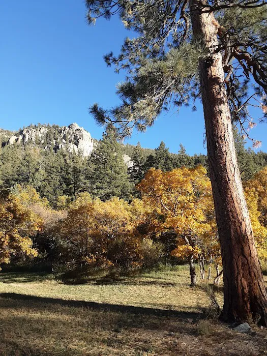 Ponderosa Campground Picture 9