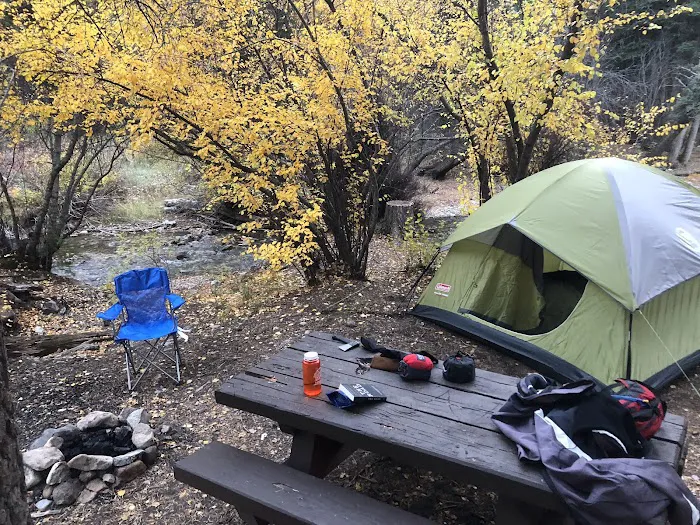 Cuchillo Del Medio Campground Picture 10