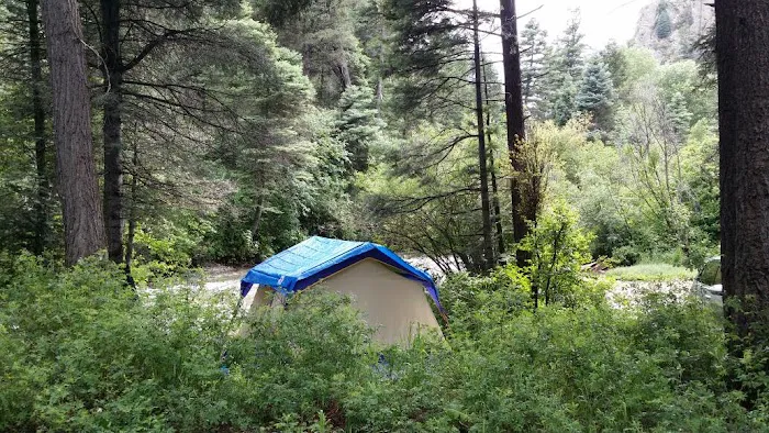 Cuchillo Del Medio Campground Picture 2