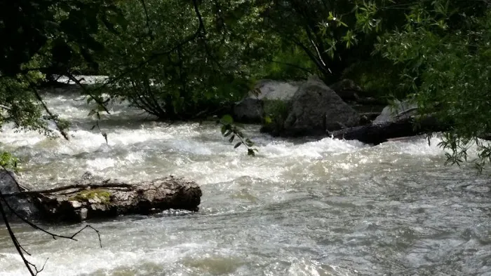 Cuchillo Del Medio Campground Picture 1