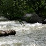 Cuchillo Del Medio Campground