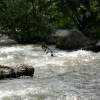 Cuchillo Del Medio Campground ico