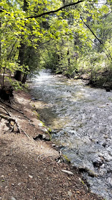 Free campground Picture 2